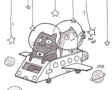 Cat Explorers