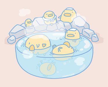 Bird Spa
