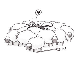 Fluffy Sheep