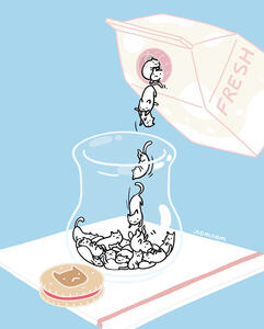 Glass of Cat
