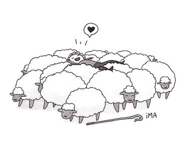 Sheep Bed