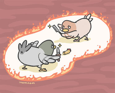 Pigeon Fight