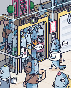 Sardines