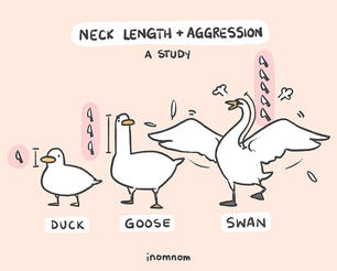 Bird Necks
